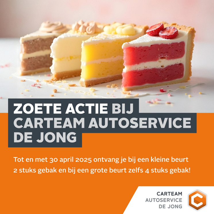 Carteam Autoservice van Langen